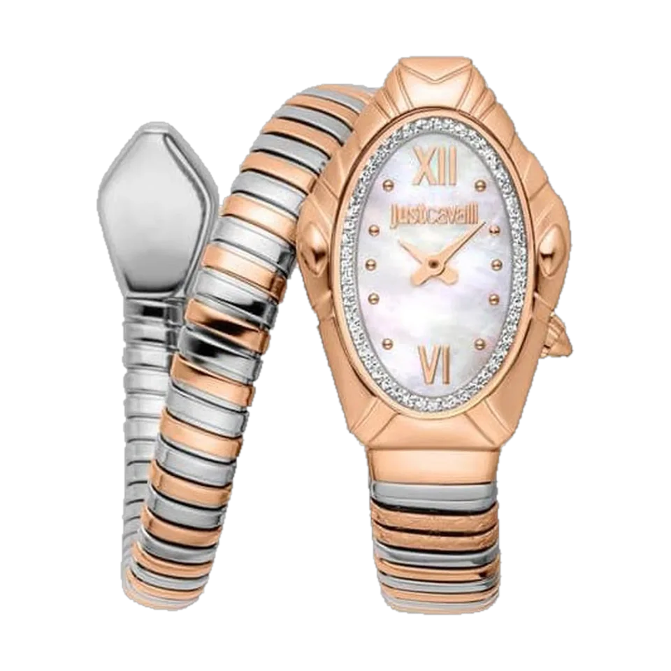 JUST CAVALLI JC1L357M0065