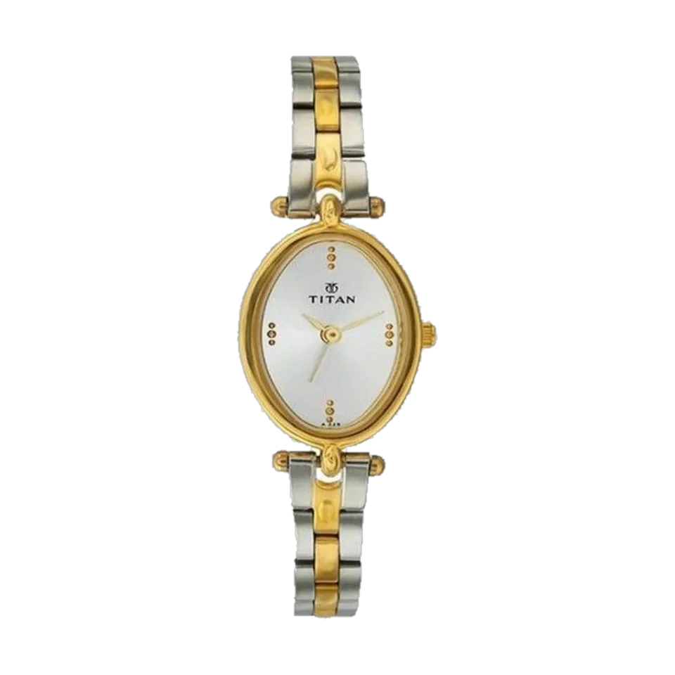 Women’s Titan watch with a 28 mm stainless steel case and two-tone stainless steel bracelet.
